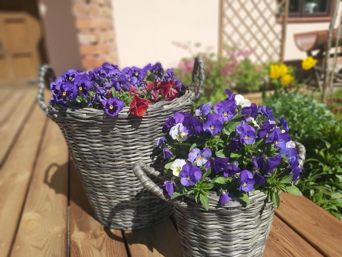 Swojski Gosciniec Prażmowo Exteriör bild